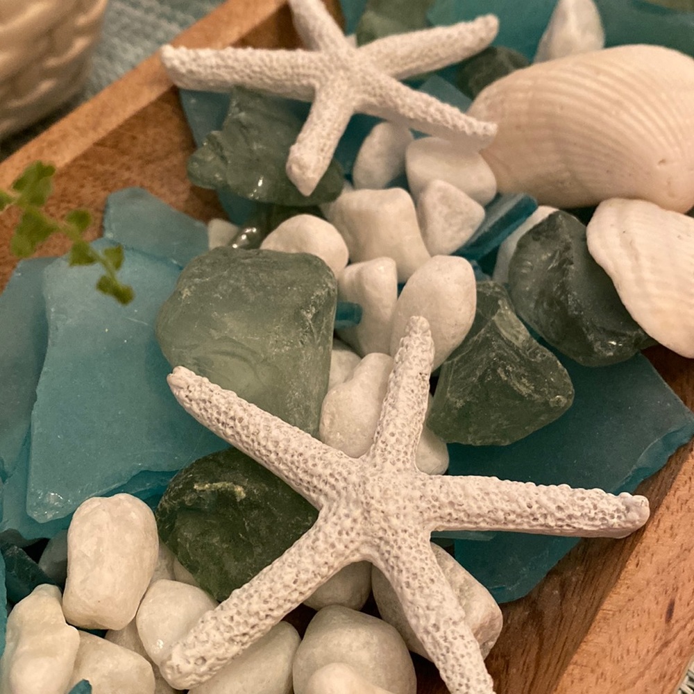 Meet your Posher, Jolene